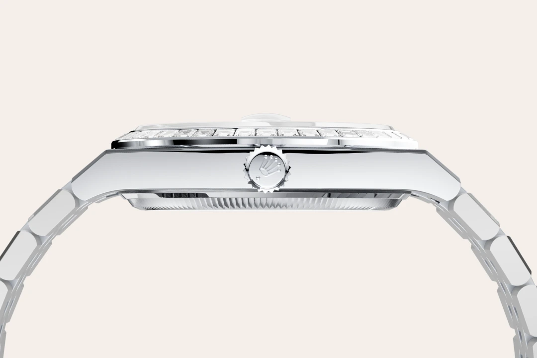 Land-Dweller M127286TBR-0001